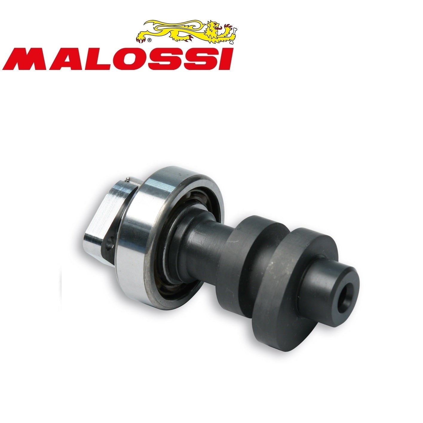 ALBERO A CAMME MALOSSI HONDA FORZA ABS 300 IE 4T LC (NF04E) POWER CAM