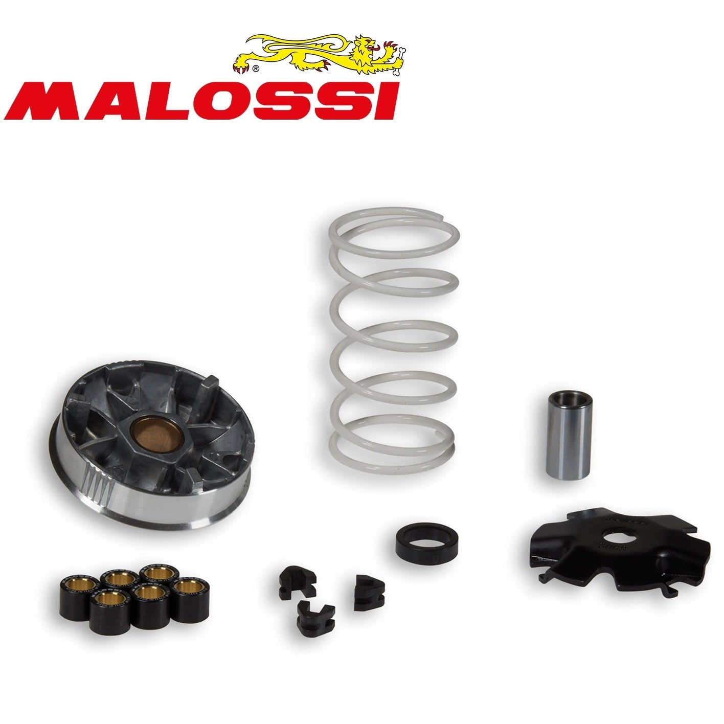 VARIATORE MULTIVAR 2000 PER SCOOTER - ATV - QUAD