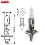 12V Lampada alogena - H1 - 55W - P14,5s - 1 pz - D/Blister