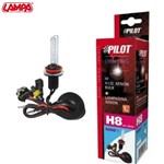 12/24V Lampadina HID Xenon 6.000K - H8 - 1 pz - Scatola