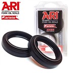 KIT PARAOLIO ARIETE 48 X 60 X 9,5 / 10,5 DC4Y-1