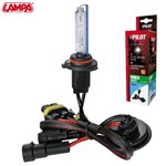 12/24V Lampadina HID Xenon 6.000K - HB3 9005 - 1 pz - Scatola