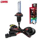 12/24V Lampadina HID Xenon 6.000K - HB3 9005 - 1 pz - Scatola