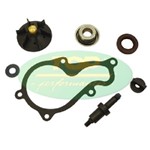 Kit revisione pompa acqua Piaggio Beverly 350 cc