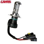 12/24V Lampadina HID Xenon 4.300K - H4 - 1 pz - Scatola - (Bi-Xenon)