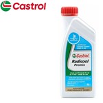 LIQUIDO ANTIGELO RADICOOL (CONF. 1L)
