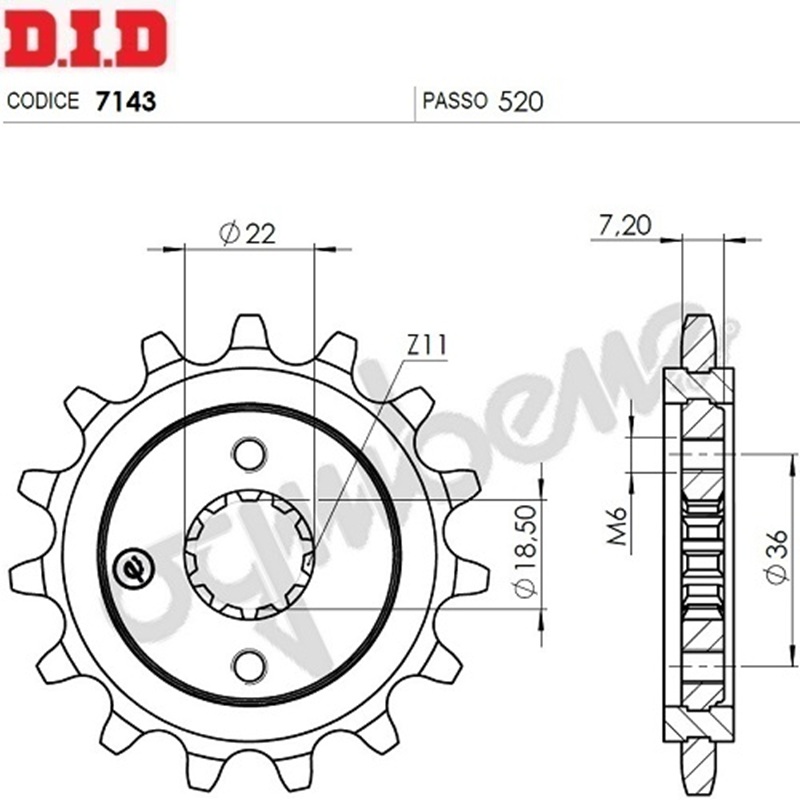 PIGNONE PROF. HONDA XR 250 R