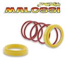 TORSION CONTROLLER MOT. 125>250CC. PIAGGIO