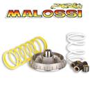VARIATORE MULTIVAR 2000 HONDA FORESIGHT 250 4t LC - PEUGEOT SV 250 4t LC