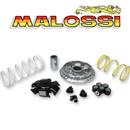 VARIATORE MULTIVAR 2000 HONDA FORZA X [NSS] SOST.5114261 In Esaurimento