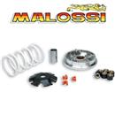 VARIATORE MULTIVAR 2000 per Honda 50 ie 4T