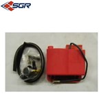 CENTRALINA ELETTRONICA PEDERZINI PER HONDA DIO G - SP - (In Esaurimento) CENTRALINA ELETTRONICA PEDERZINI PER HONDA DIO G - SP - (In Esaurimento)