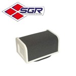 FILTRO ARIA KAWASAKI GPZ 550 (In Esaurimento)